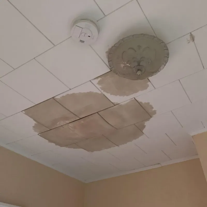 Ceiling Water Damage Repair in Horace, ND