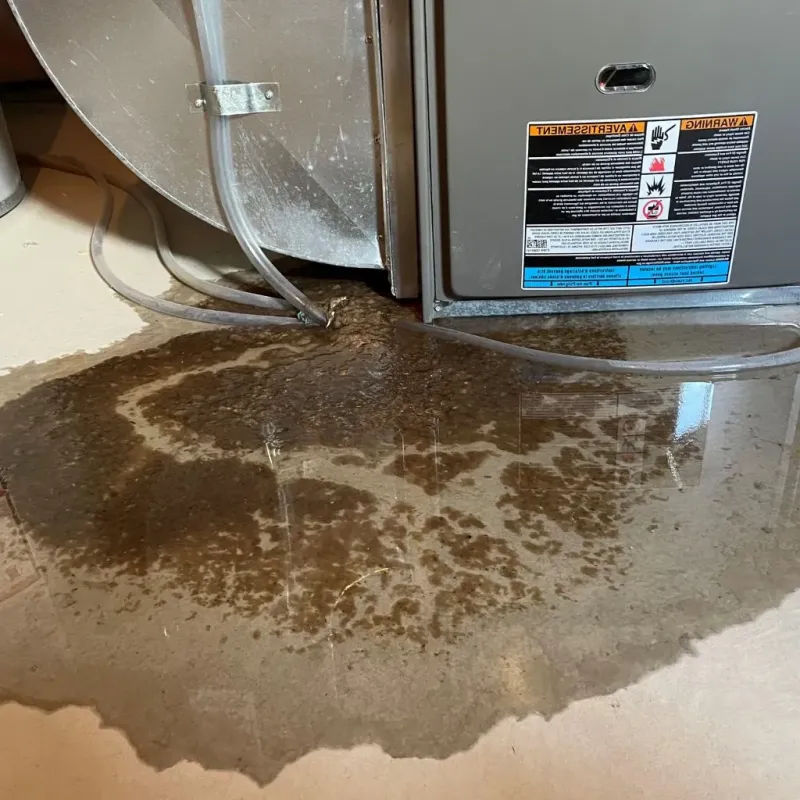 Pipe Burst and Leak Restoration in Horace, ND