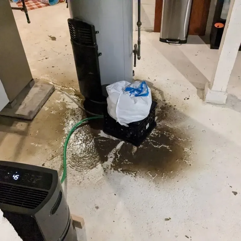Sewage Backup Cleanup Service in Horace, ND